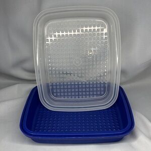 Tupperware Large Vintage Season N Serve Marinader in Blue